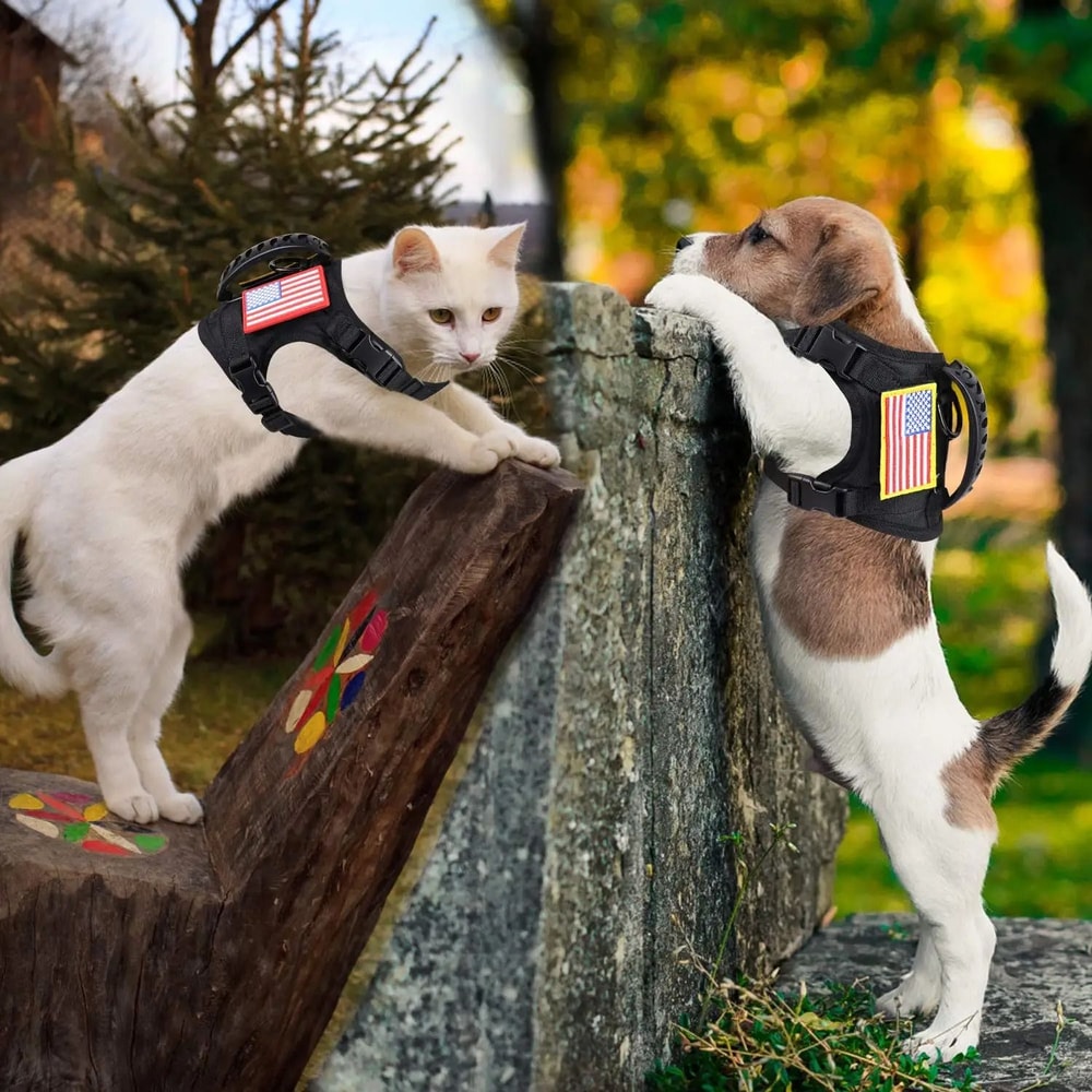 Adjustable Tactical Cat And Puppy Harness With Leash For Secure Training Walks 4