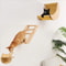 Cat Wall Climbing Shelves Set With Moon Perch Steps Ladder And Hammock Bed 0