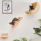 Cat Wall Climbing Shelves Set With Moon Perch Steps Ladder And Hammock Bed 2