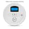 Battery Powered Carbon Monoxide Alarm Detector With LCD Display And 85dB Sound Alert 8