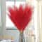 Red Faux Pampas Grass Stems For Wedding And Home Decor 5 Piece Set 0