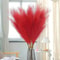Red Faux Pampas Grass Stems For Wedding And Home Decor 5 Piece Set 0