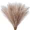 Red Faux Pampas Grass Stems For Wedding And Home Decor 5 Piece Set 10