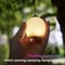 Rechargeable Egg Shaped Camping Light Soft Silicone Pinch Control Lamp 0