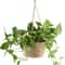 Handwoven Hanging Basket Planter Twine Woven Rattan Style Orchid Pot 1