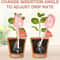 Tulip Plant Watering Globes Automatic Self Watering Drippers Set Of 4 4