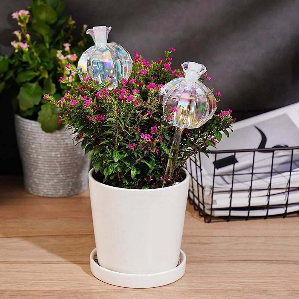 Glass Pomegranate Flower Plant Watering Globes Lazy Self Watering Drippers Set Of 2 3