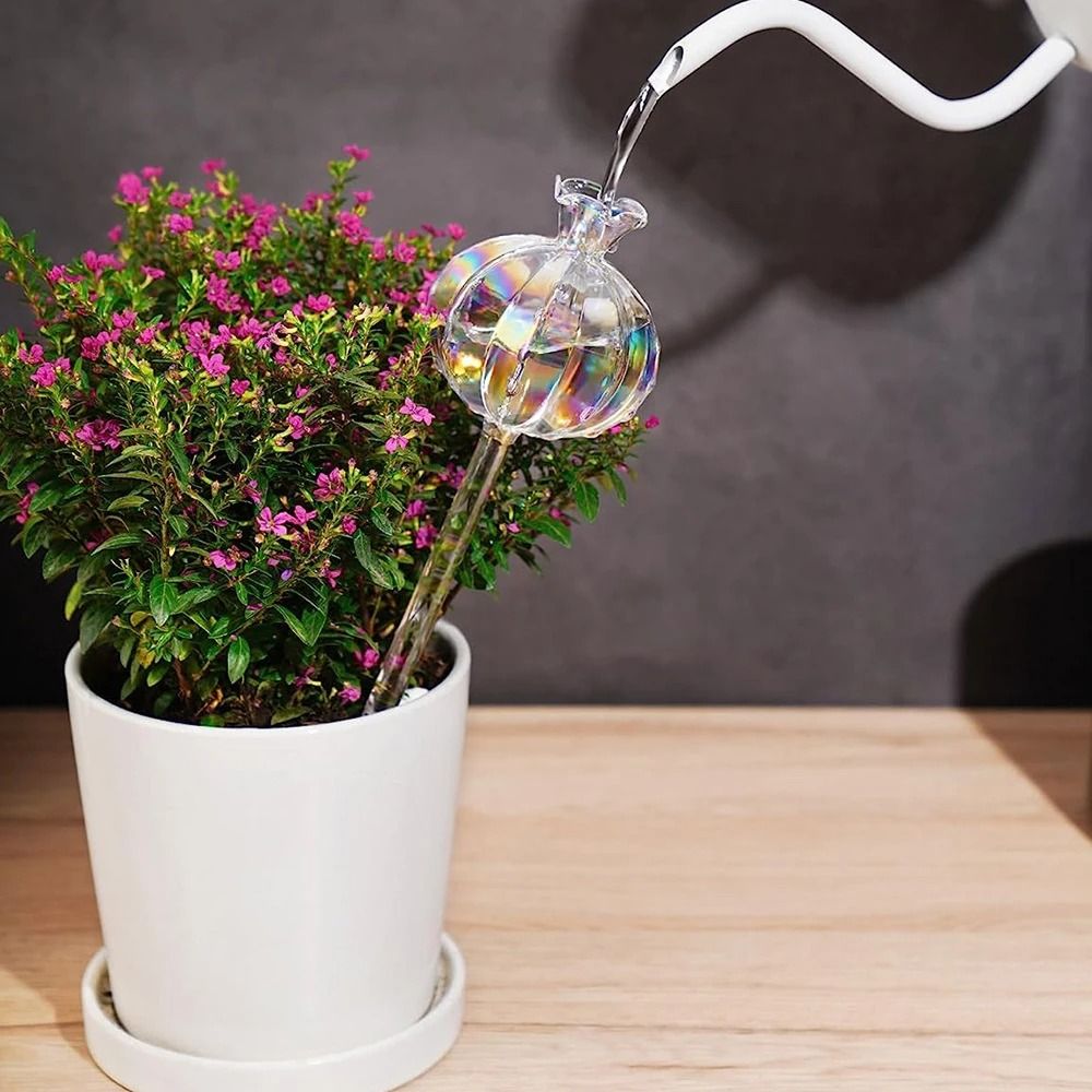 Glass Pomegranate Flower Plant Watering Globes Lazy Self Watering Drippers Set Of 2 5