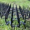 Garden Cat Repellent Prickle Strips Dig Stop Deterrent Mat With Stakes And Ties 2