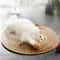 Rattan Cat Scratching Mat Round Cat Scratcher Furniture Protector For Indoor Cats 1