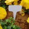 Waterproof Garden Plant Labels White Plastic Writing Tags Set Of 100 0
