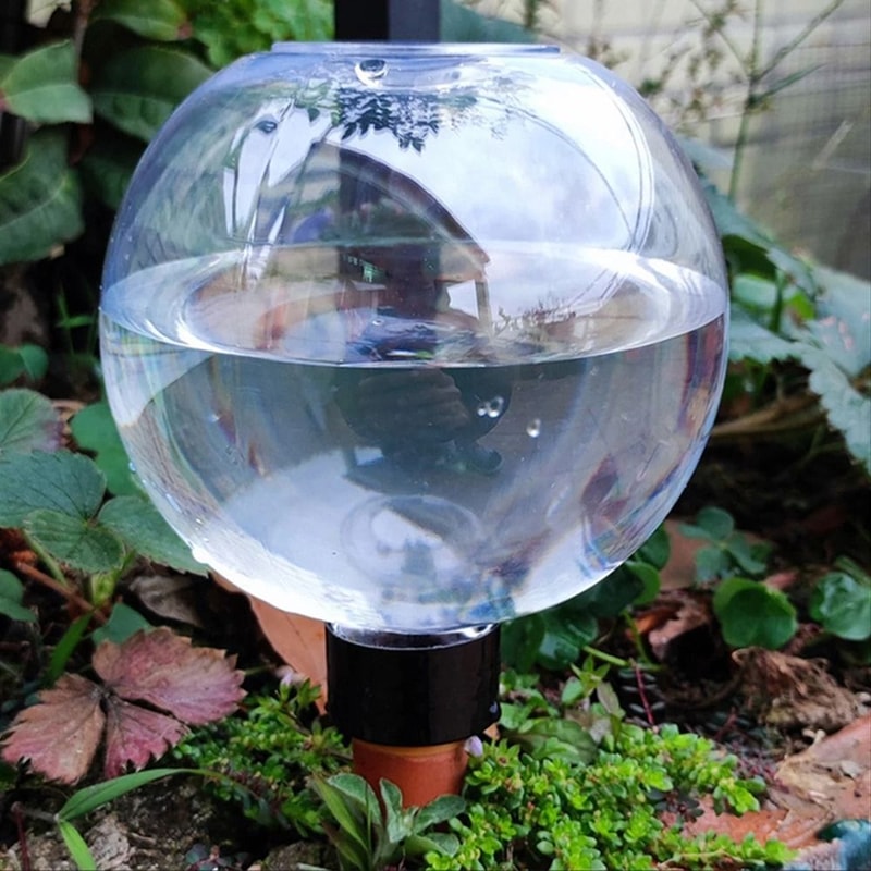 Spherical Automatic Plant Watering Globes Succulent Dripper Set Of 2 Or 4 1