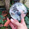 Spherical Automatic Plant Watering Globes Succulent Dripper Set Of 2 Or 4 2