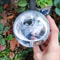 Spherical Automatic Plant Watering Globes Succulent Dripper Set Of 2 Or 4 3