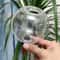 Spherical Automatic Plant Watering Globes Succulent Dripper Set Of 2 Or 4 4