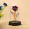 Eternal Rose Flower Gift Creative Simulation Rose For Valentines Day And Birthdays 8