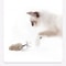 Wind Up Plush Mouse Toy Lifelike Running Pet Toy For Cats And Dogs Random Color 0