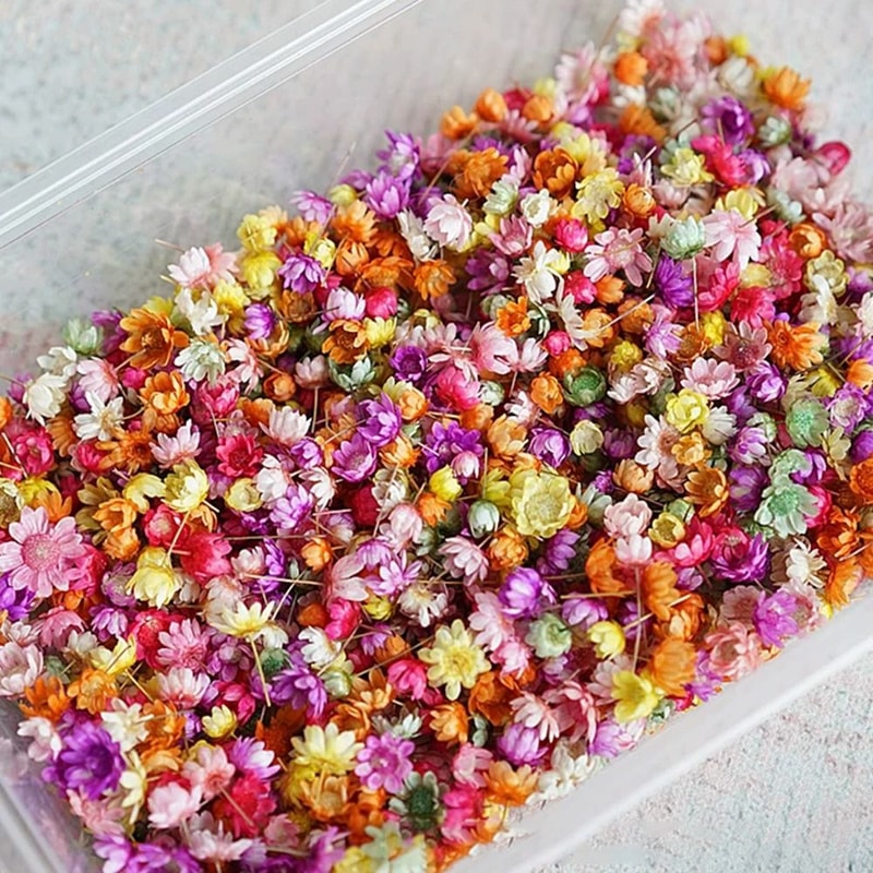 Mini Dried Look Artificial Flower Heads For DIY Crafts Resin Jewelry Candle Decor 140 Or 280 Pieces 2