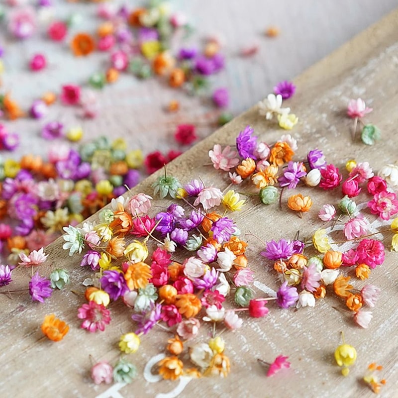 Mini Dried Look Artificial Flower Heads For DIY Crafts Resin Jewelry Candle Decor 140 Or 280 Pieces 3