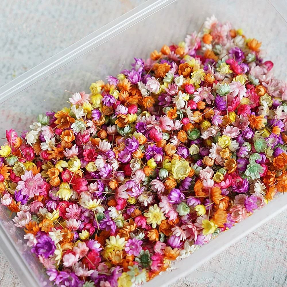 Mini Dried Look Artificial Flower Heads For DIY Crafts Resin Jewelry Candle Decor 140 Or 280 Pieces 4