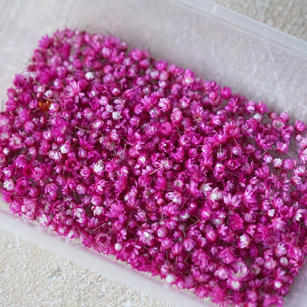 Mini Dried Look Artificial Flower Heads For DIY Crafts Resin Jewelry Candle Decor 140 Or 280 Pieces 5