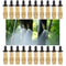 Adjustable Copper Misting Nozzle Set For Garden And Balcony Watering 5 Or 10 Pack 0