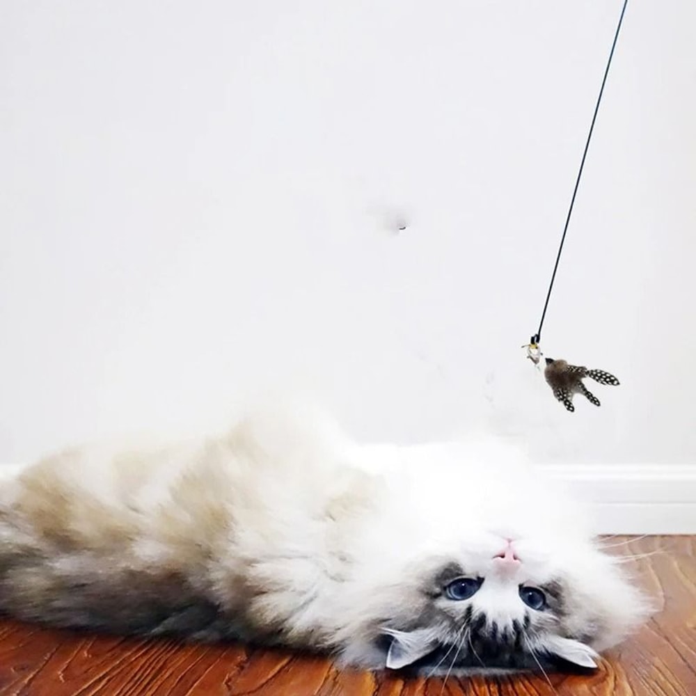 Cat Teaser Wand With Bell Feather And Suction Cup Long Interactive Stick 2