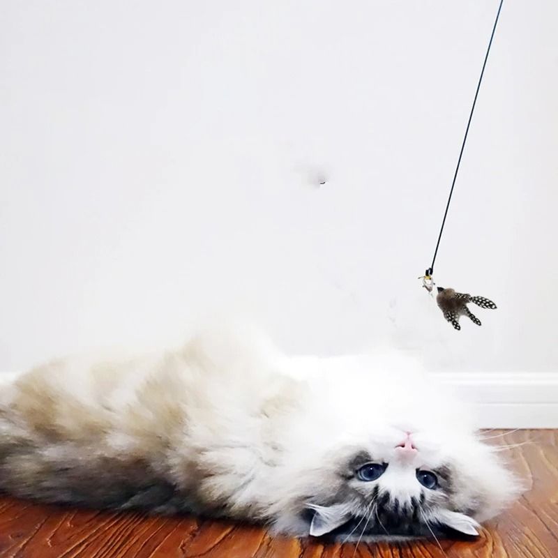 Cat Teaser Wand With Bell Feather And Suction Cup Long Interactive Stick 2