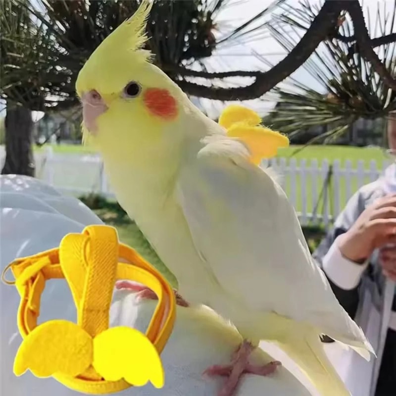Adjustable Parrot Harness And Leash Set Outdoor Bird Flight Training Lead For Small Birds 1
