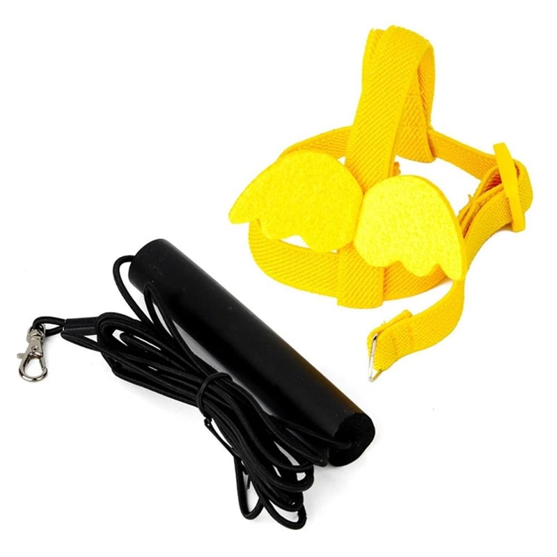 Adjustable Parrot Harness And Leash Set Outdoor Bird Flight Training Lead For Small Birds 4