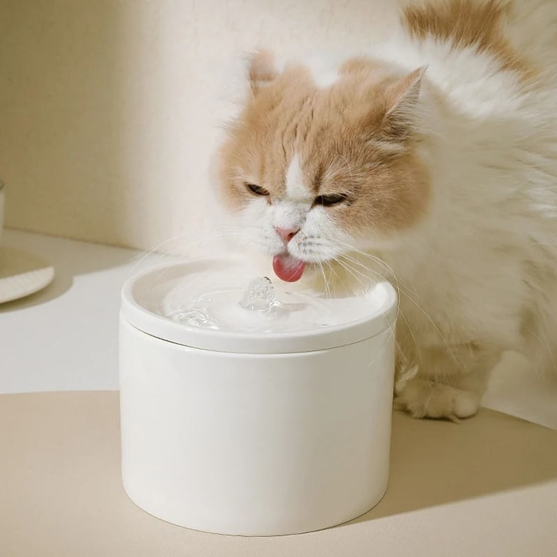 Automatic Cat Water Fountain Ceramic Bowl Circulating Pet Water Dispenser For Cats And Small Dogs 0