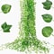 Artificial Green Leaf Vine Grape Leaves Hanging Garland For Ceiling And Home Decor 2