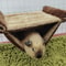 Warm Velvet Small Pet Hammock Hanging Bed For Hamsters Guinea Pigs And Chinchillas 1