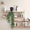Artificial Hanging Locust Leaf Vine Wall Mounted Greenery Decor For Shading And Home Styling 4