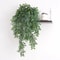 Artificial Hanging Locust Leaf Vine Wall Mounted Greenery Decor For Shading And Home Styling 5