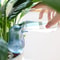 Automatic Plant Watering Bird Drip Feeder Self Watering Irrigation Percolator For Potted Plants 4