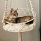 Boho Hanging Cat Hammock Handwoven Cotton Rope Cat Bed With Cushion For Cozy Winter Rest 2