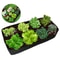 Felt Garden Planting Bag Multi Grid Grow Bag Rectangle Nursery Container For Vegetables And Herbs 1