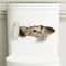 3D Peeking Kitten Toilet Sticker Waterproof Self Adhesive Bathroom Toilet Seat Decor 3