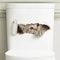 3D Peeking Kitten Toilet Sticker Waterproof Self Adhesive Bathroom Toilet Seat Decor 3