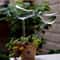 Bird Shaped Self Watering Globes Automatic Plant Watering Stakes For Indoor And Outdoor Pots 2