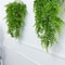Artificial Hanging Fern Vine Wall Greenery Persian Grass Rattan Plant For Home And Outdoor Decor 1