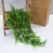 Artificial Hanging Fern Vine Wall Greenery Persian Grass Rattan Plant For Home And Outdoor Decor 2