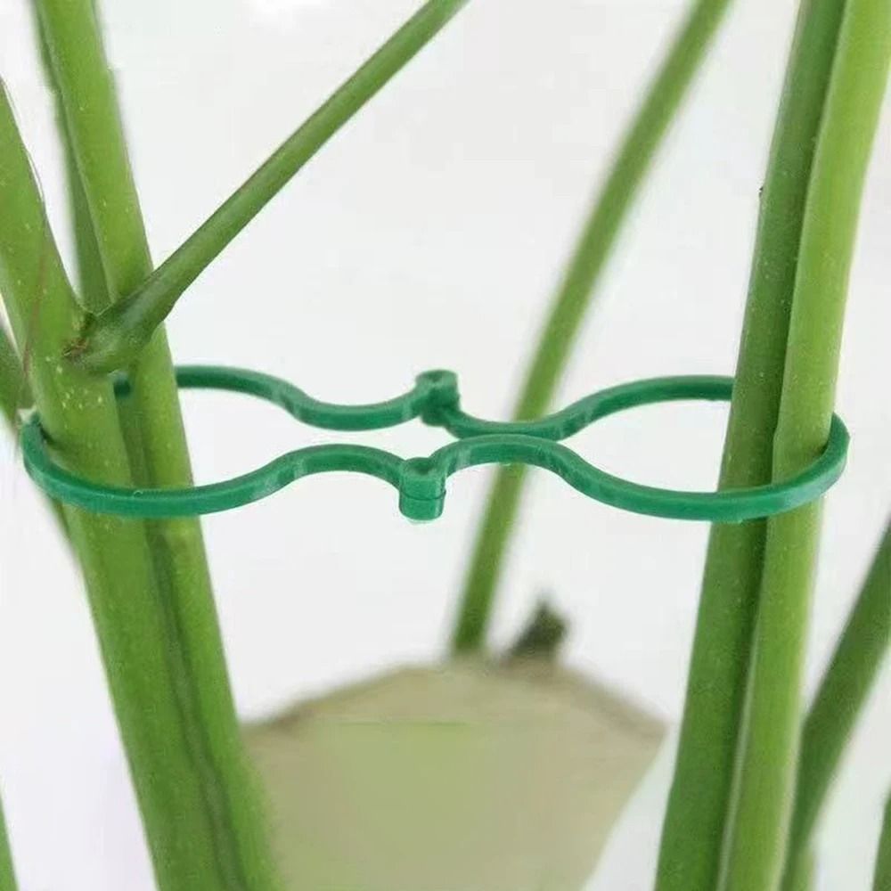 Figure Eight Plant Clips Plastic Garden Vine Ties For Trellis Support And Stem Fixing 50 Or 100 Pac 3