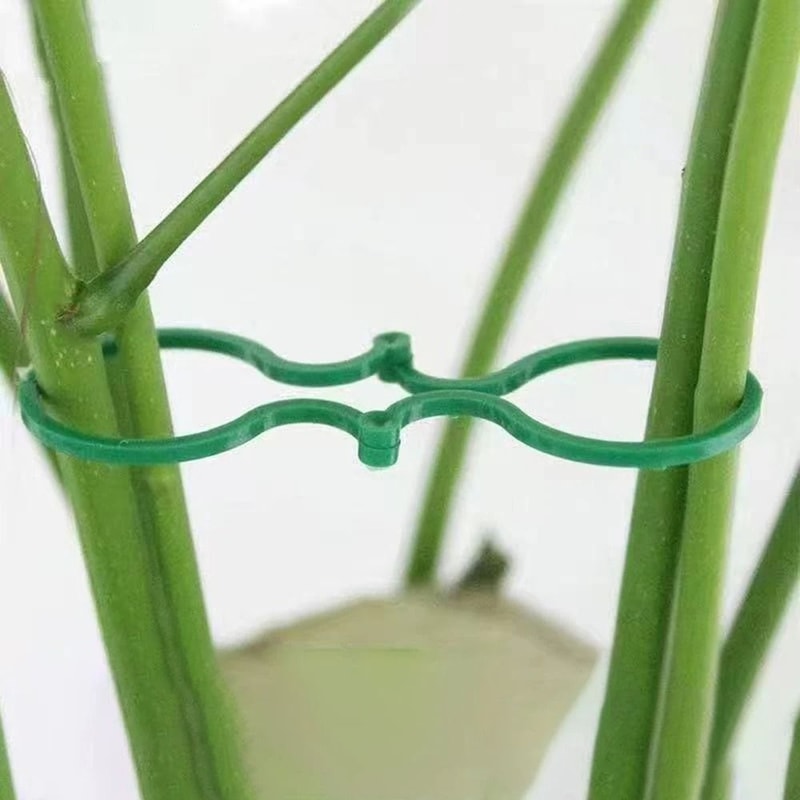 Figure Eight Plant Clips Plastic Garden Vine Ties For Trellis Support And Stem Fixing 50 Or 100 Pac 3