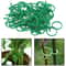 Figure Eight Plant Clips Plastic Garden Vine Ties For Trellis Support And Stem Fixing 50 Or 100 Pac 6