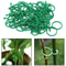 Figure Eight Plant Clips Plastic Garden Vine Ties For Trellis Support And Stem Fixing 50 Or 100 Pac 6