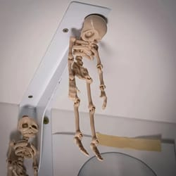 magnetic poseable skull fridge magnet funny halloween kitchen decor quirky home accessory