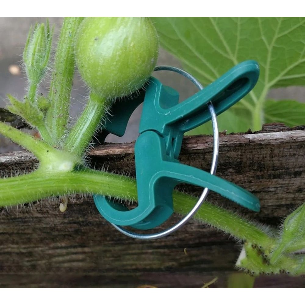 20 Pack Plastic Plant Clips Butterfly Orchid Garden Clamps For Tomato Vines And Stem Support 3