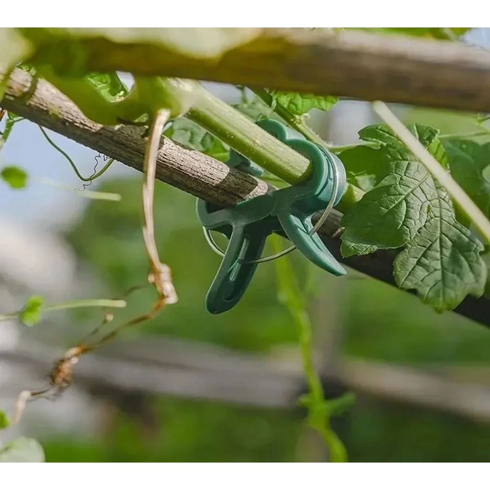 20 Pack Plastic Plant Clips Butterfly Orchid Garden Clamps For Tomato Vines And Stem Support 4